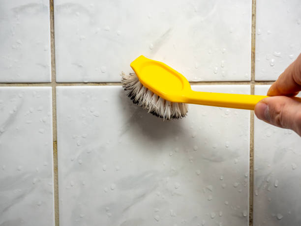 Best Office Mold Removal Services  in Ronceverte, WV
