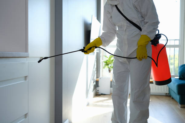 Best Mold Removal Specialists  in Ronceverte, WV