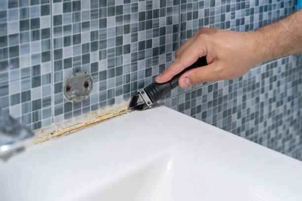 Reliable Ronceverte, WV Mold Removal Solutions