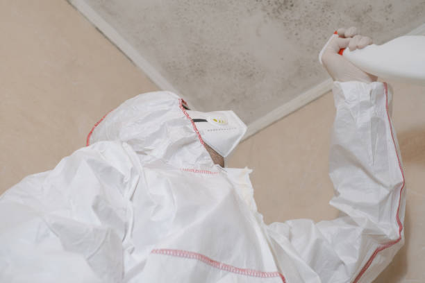 Best Mold Testing and Removal  in Ronceverte, WV
