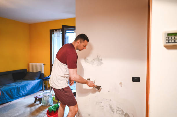 Best Toxic Mold Removal  in Ronceverte, WV